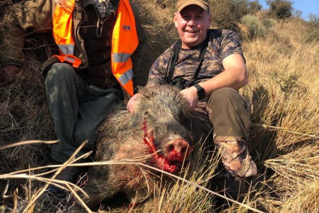 Wild Boar Driven Hunt