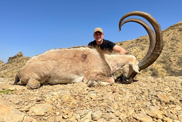 SINDH IBEX