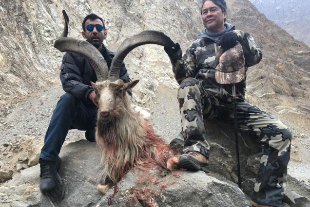 ASTOR MARKHOR HUNT